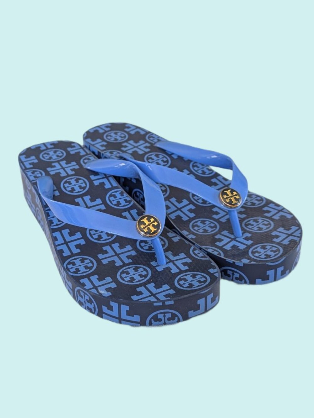 Tory Burch Blue Platform Sandals - Size 6.5